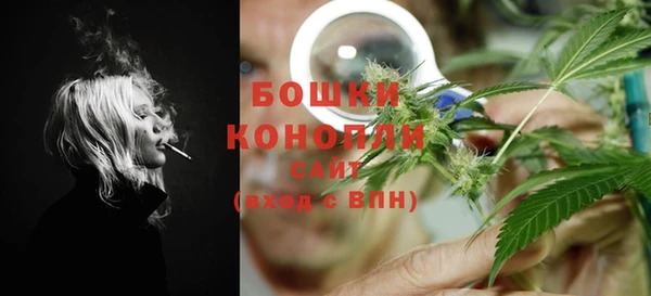 гашик Корсаков
