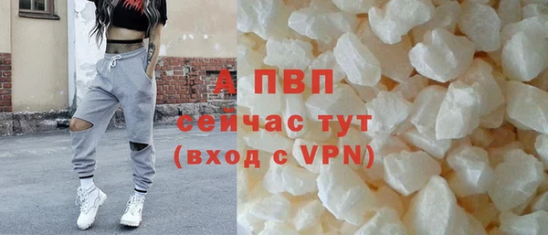 spice Козельск