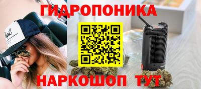 амф Жуковский