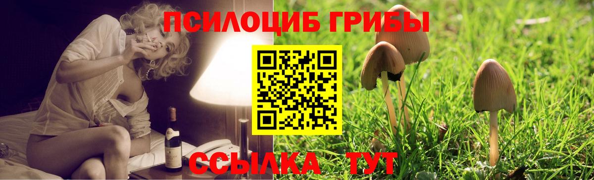 Галлюциногенные грибы GOLDEN TEACHER Михайловка
